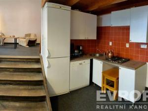 Pronájem atypického bytu, Praha - Žižkov, Biskupcova, 47 m2