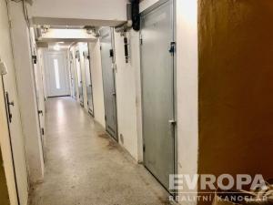 Pronájem atypického bytu, Praha - Žižkov, Biskupcova, 47 m2