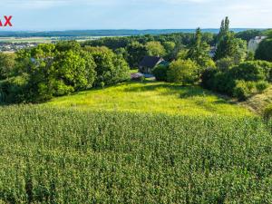 Prodej zahrady, Bačalky, 2482 m2