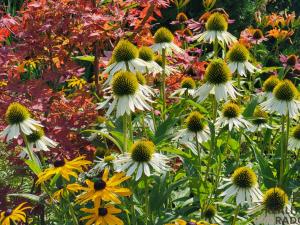 Prodej zahrady, Moravský Krumlov, 756 m2
