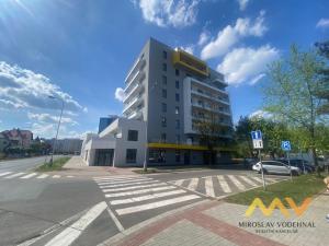 Pronájem garážového stání, Hradec Králové - Slezské Předměstí, Kubelíkova, 12 m2