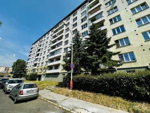 Prodej bytu 1+1, Klášterec nad Ohří - Miřetice u Klášterce nad Ohří, Pionýrů, 36 m2