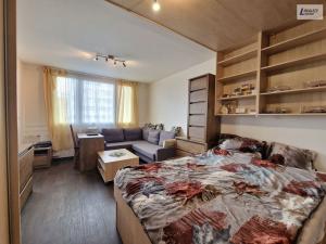 Prodej bytu 2+kk, Plzeň - Jižní Předměstí, Čermákova, 43 m2