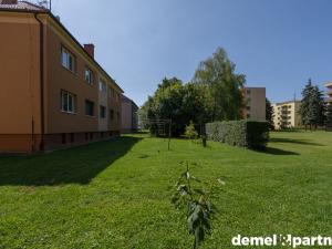 Prodej bytu 3+1, Velká nad Veličkou, 50 m2