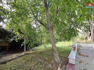 Pronájem bytu 1+kk, Praha - Horní Počernice, Náchodská, 35 m2