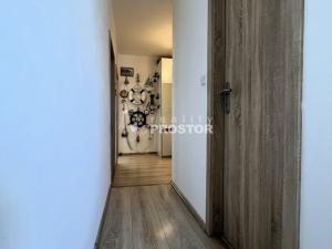 Prodej bytu 2+1, Roudnice nad Labem, Bořivojova, 67 m2