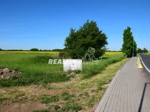 Prodej pozemku pro bydlení, Zlatá, 900 m2