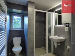 Pronájem bytu 2+1, Opava, Na Dolním poli, 45 m2