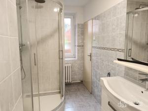 Pronájem bytu 1+1, Habartov, Čs. armády, 50 m2