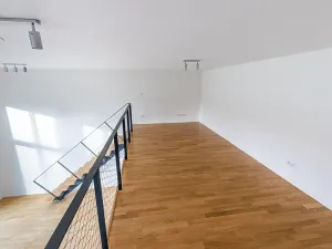 Prodej bytu 1+kk, Praha - Žižkov, U Viktorie, 67 m2
