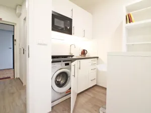 Pronájem bytu 1+kk, Brno - Lesná, Halasovo náměstí, 23 m2
