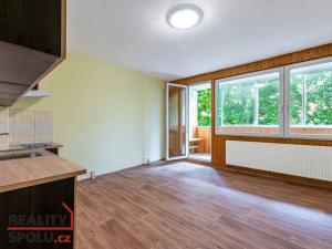 Pronájem bytu 1+kk, Plzeň - Bolevec, Sokolovská, 34 m2