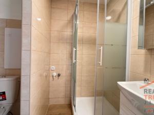 Pronájem bytu 1+kk, Hradec Králové, Jungmannova, 28 m2
