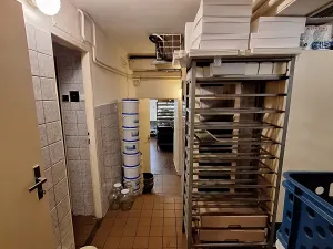 Pronájem obchodního prostoru, Praha - Vinohrady, Vinohradská, 126 m2