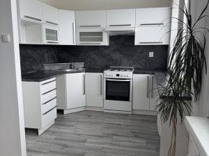 Pronájem bytu 3+1, Most, Javorová, 69 m2