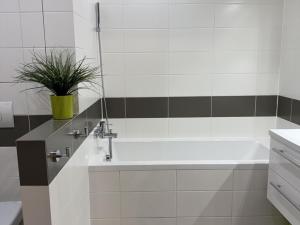 Pronájem bytu 3+1, Most, Javorová, 69 m2