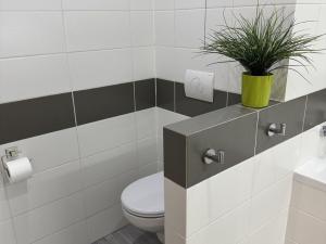 Pronájem bytu 3+1, Most, Javorová, 69 m2