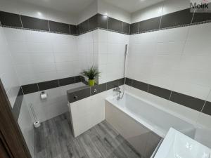 Pronájem bytu 3+1, Most, Javorová, 69 m2