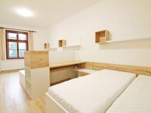 Pronájem bytu 1+1, Olomouc, Univerzitní, 46 m2