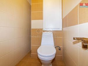 Pronájem bytu 3+1, Kutná Hora - Šipší, 17. listopadu, 71 m2