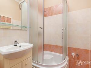 Prodej bytu 1+1, Habartov, Okružní, 41 m2