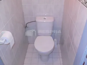 Pronájem bytu 1+1, Praha - Žižkov, Vlkova, 40 m2