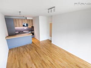 Pronájem bytu 3+kk, Praha - Žižkov, U Viktorie, 70 m2