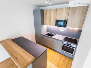 Pronájem bytu 3+kk, Praha - Žižkov, U Viktorie, 70 m2