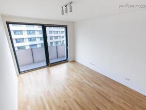 Pronájem bytu 3+kk, Praha - Žižkov, U Viktorie, 70 m2