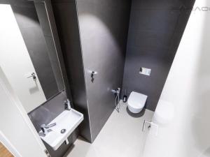 Pronájem bytu 3+kk, Praha - Žižkov, U Viktorie, 70 m2