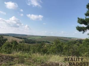 Prodej zahrady, Kobeřice u Brna, 2052 m2