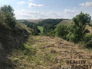 Prodej zahrady, Kobeřice u Brna, 2052 m2