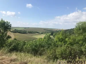 Prodej zahrady, Kobeřice u Brna, 2052 m2