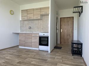 Pronájem bytu 1+1, Litvínov - Horní Litvínov, Čapkova, 37 m2