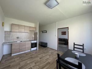 Pronájem bytu 1+1, Litvínov - Horní Litvínov, Čapkova, 37 m2