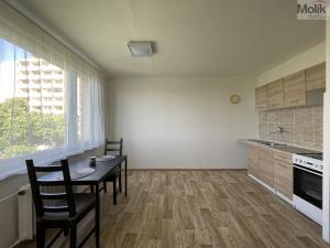 Pronájem bytu 1+1, Litvínov - Horní Litvínov, Čapkova, 37 m2