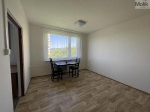 Pronájem bytu 1+1, Litvínov - Horní Litvínov, Čapkova, 37 m2