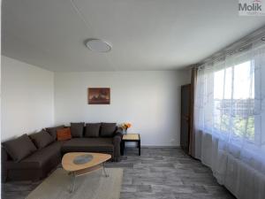 Pronájem bytu 1+1, Litvínov - Horní Litvínov, Čapkova, 37 m2