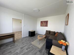 Pronájem bytu 1+1, Litvínov - Horní Litvínov, Čapkova, 37 m2