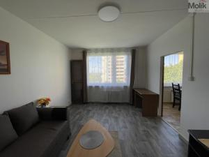 Pronájem bytu 1+1, Litvínov - Horní Litvínov, Čapkova, 37 m2