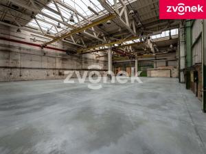 Pronájem výrobních prostor, Holešov, Samostatnost, 945 m2