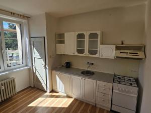 Pronájem bytu 1+1, Příbram - Příbram VII, Okružní, 43 m2