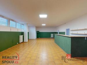 Prodej obchodního prostoru, 230 m2