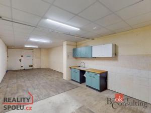 Prodej obchodního prostoru, 230 m2