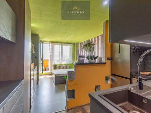 Prodej bytu 1+kk, Ostrava, Lechowiczova, 28 m2