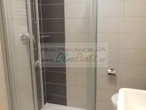 Pronájem bytu 1+kk, Brno - Slatina, Tilhonova, 30 m2