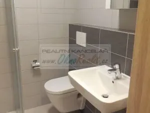 Pronájem bytu 1+kk, Brno - Slatina, Tilhonova, 30 m2