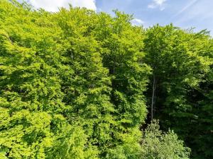 Prodej bytu 4+1, Litvínov, Luční, 90 m2
