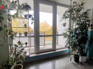 Pronájem bytu 2+1, Uničov, Mohelnická, 65 m2