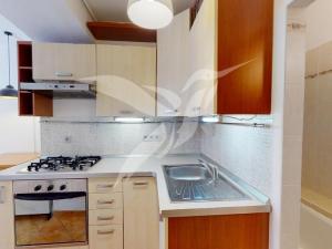 Pronájem bytu 1+kk, Plzeň, Božkovská, 43 m2
